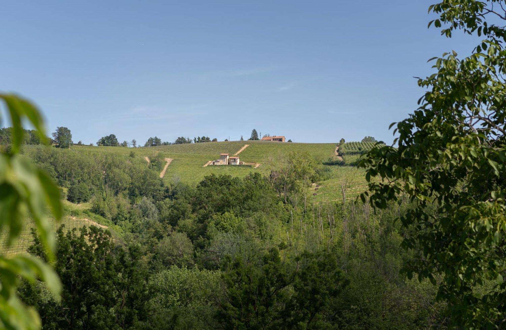 I Ciabot Di Monforte Monforte dʼAlba Esterno foto